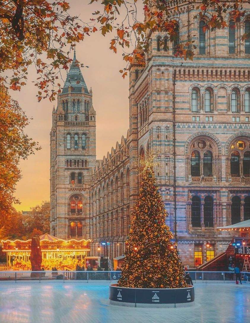 Solve NATIONAL HISTORY MUSEUM LONDON jigsaw puzzle online with 252 pieces