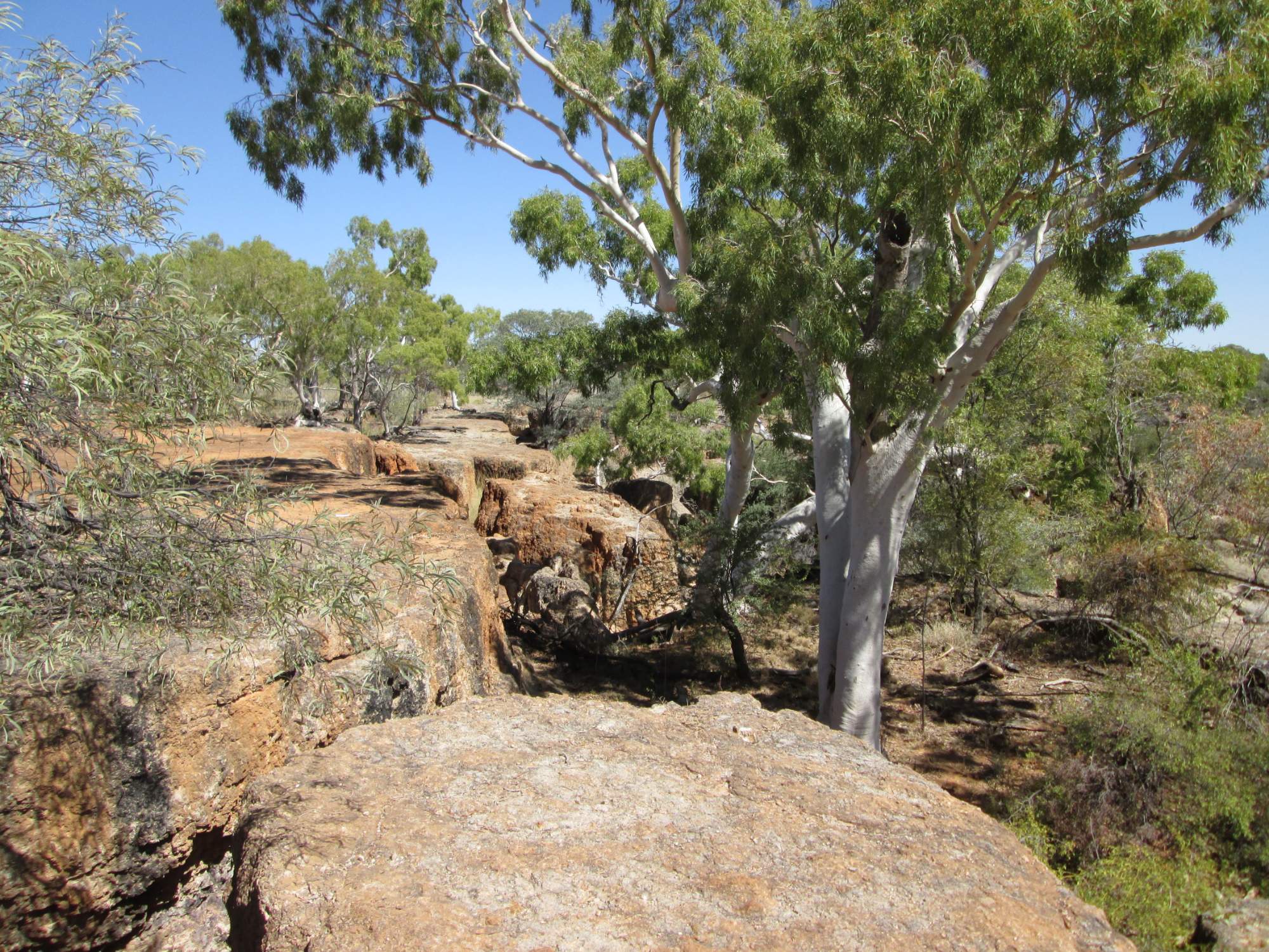 Solve Queensland jigsaw puzzle online with 374 pieces