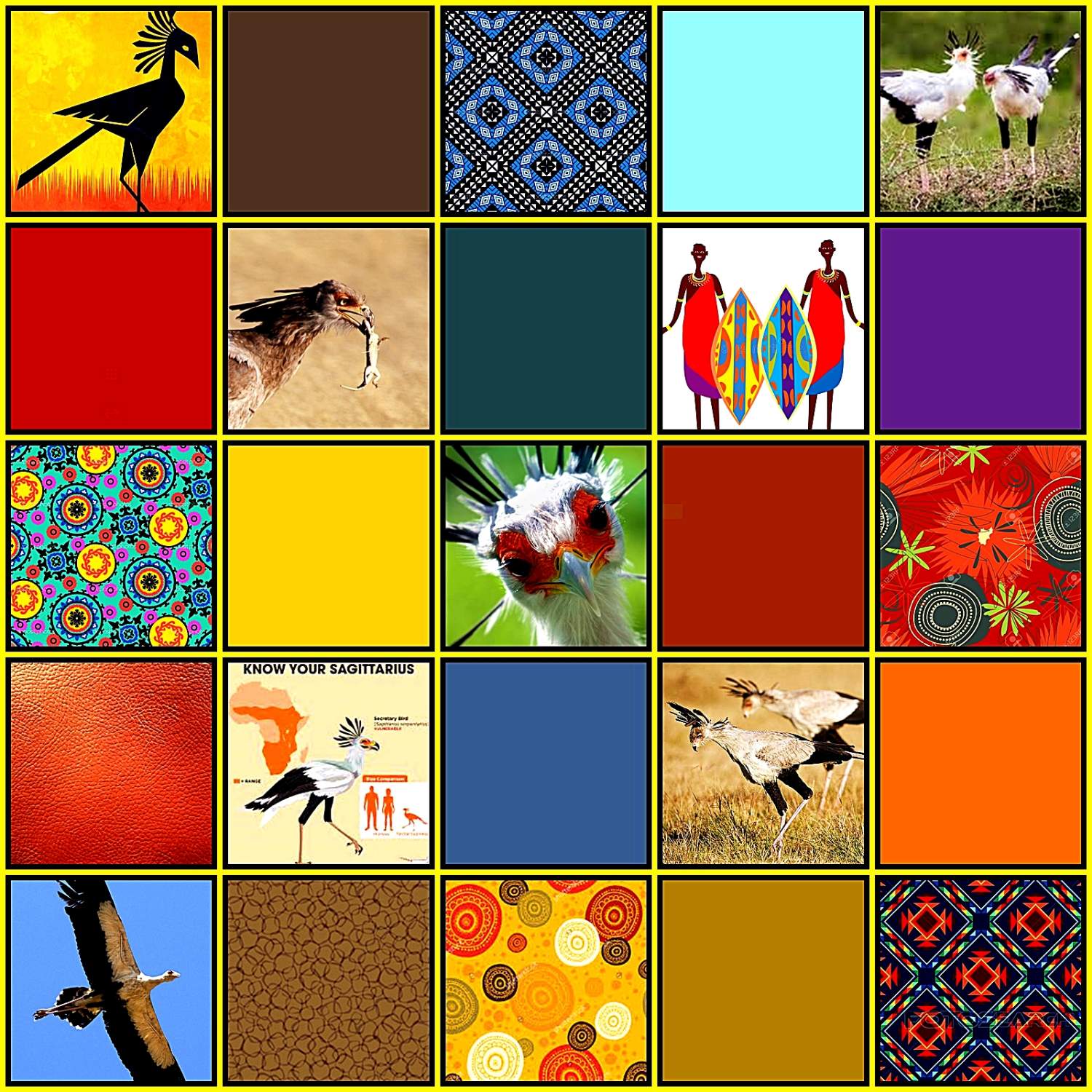 Solve Kenya's Beautiful Secretary Bird jigsaw puzzle online with 196 pieces