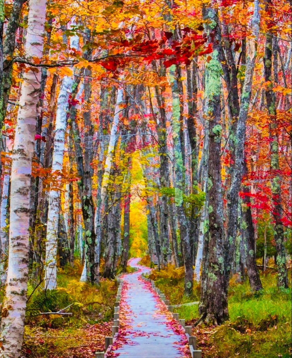 Solve Acadia National Park jigsaw puzzle online with 120 pieces