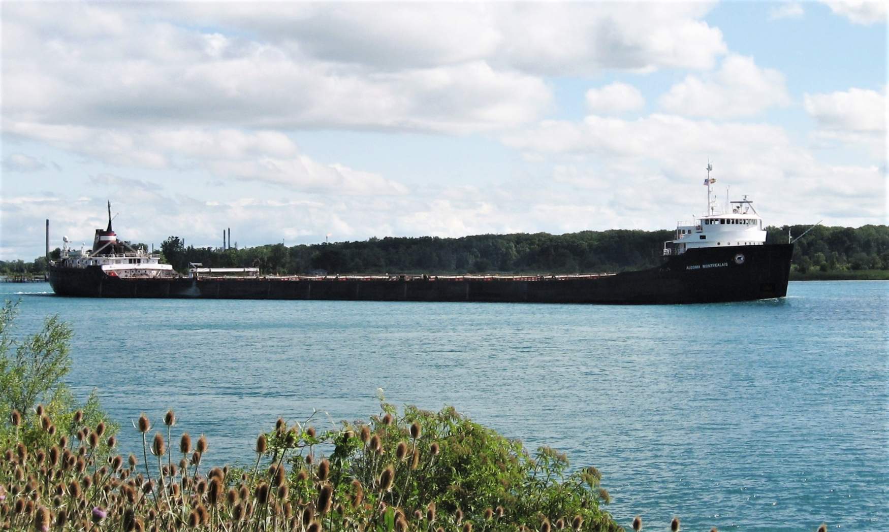 Solve Algoma Montrealis (19612015) jigsaw puzzle online with 112 pieces