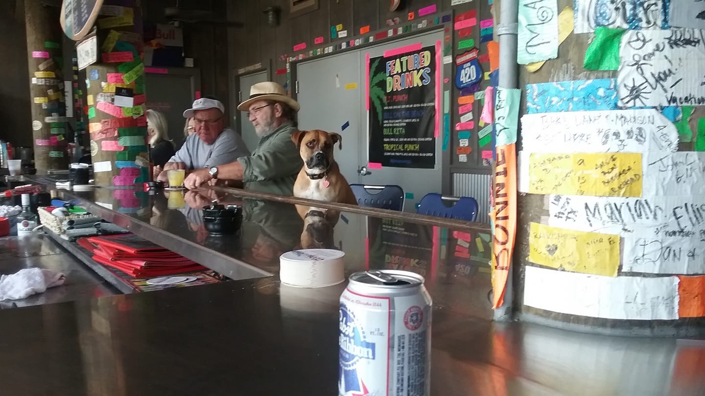 Solve Seat At The Bar jigsaw puzzle online with 170 pieces